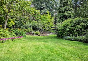 Optimiser l'expérience du jardin à Guilberville